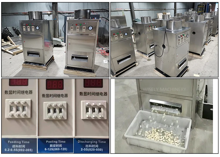 machine peeling garlic(5).jpg