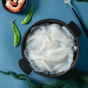 Refined Keto-Friendly ODM OEM Sugar Free Allergen Free No Perservatives Glucomannan Original Konnyaku Noodles Lasagne