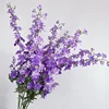 Viola scuro