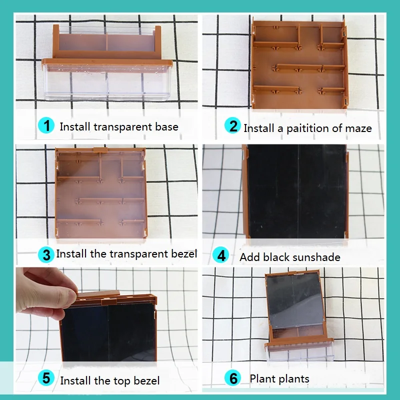 New 2023 Toys Botany Plant Growing Maze Kit Fun Home Lab Sprout Phototropism Project Educational