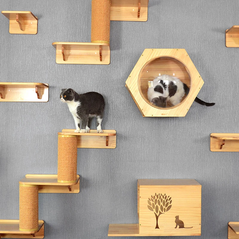 cat tree shelves