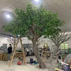 gran arbol