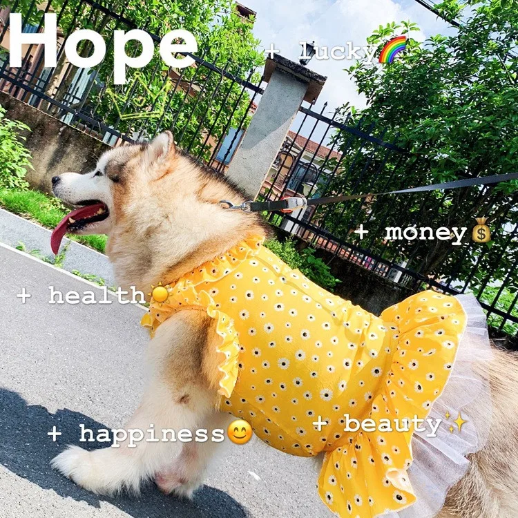 Fashion Classic Print Pet Dog Skirt Allah Golden Retriever Big Dog Dress  Clothes Clothing