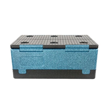 AUTO Food Grade Epp foam thermal box for Outdoor picnic, insulated shipping box for frozen food transportation