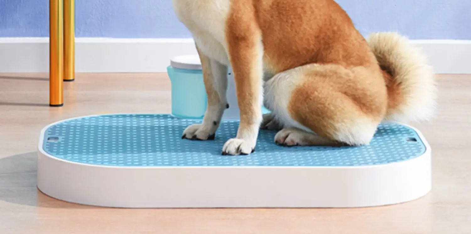 automatic potty pad