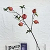 5-headed pomegranate, pink