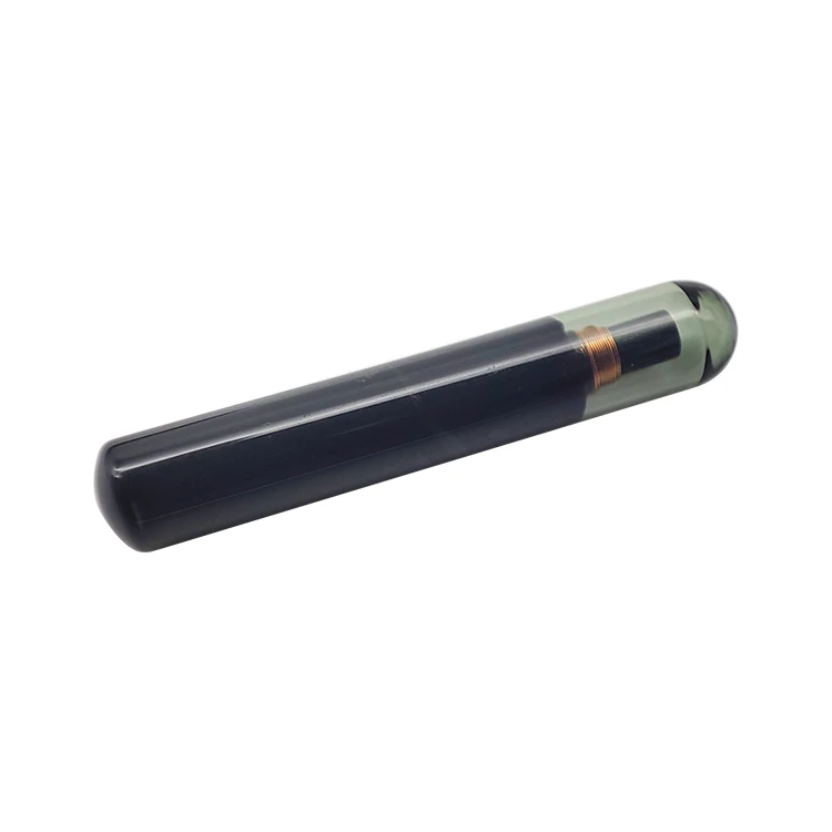 Car Key Chip Blank 4D60 TP06 80 Bit Glass Transponder Key Chip for F-ord ID 4D 60 Auto Car Key Chip