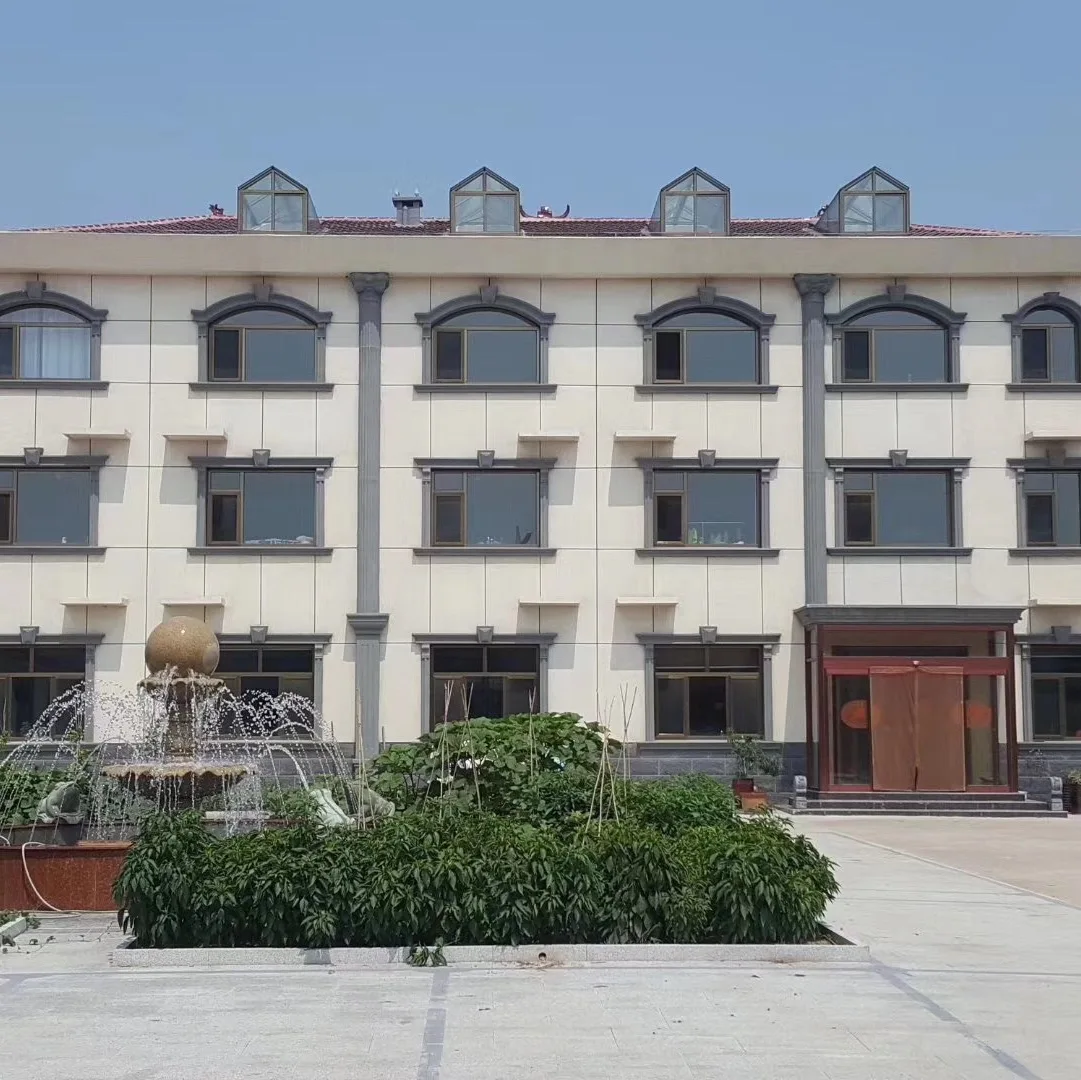 Cangzhou Aibsin Technology Co., Ltd.