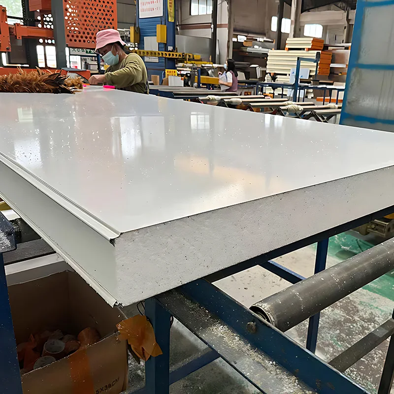 S Type EPS Fire-Retardant Eco-Friendly Sandwich Panel for Construction Site Offices Cold Rooms Hotels Warehouses Made Steel