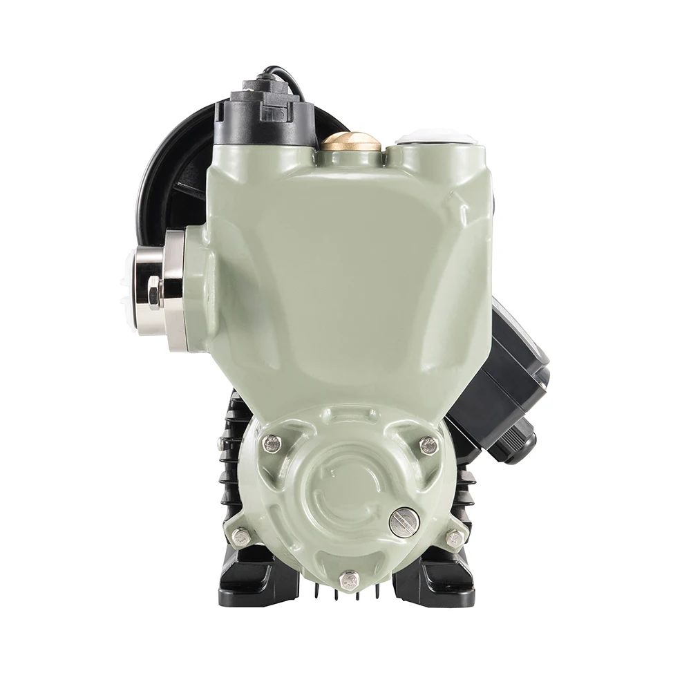 220v Automatic Pressure Control Agricultural Spray Pump
