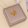 collar 7