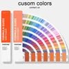 สีที่กำหนดเอง