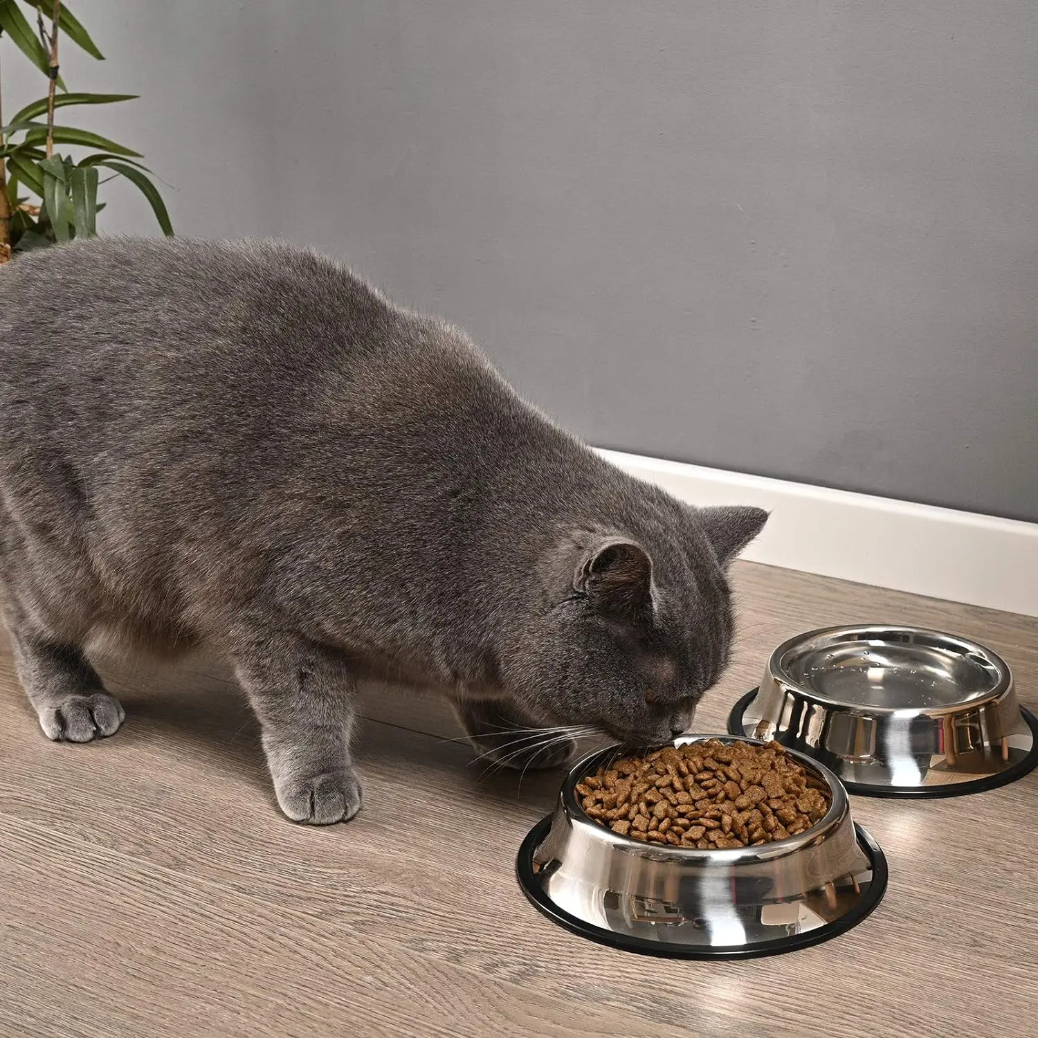 Высококачественная чаша для собак 16 унций 32 унции 64 с двойной стенкой