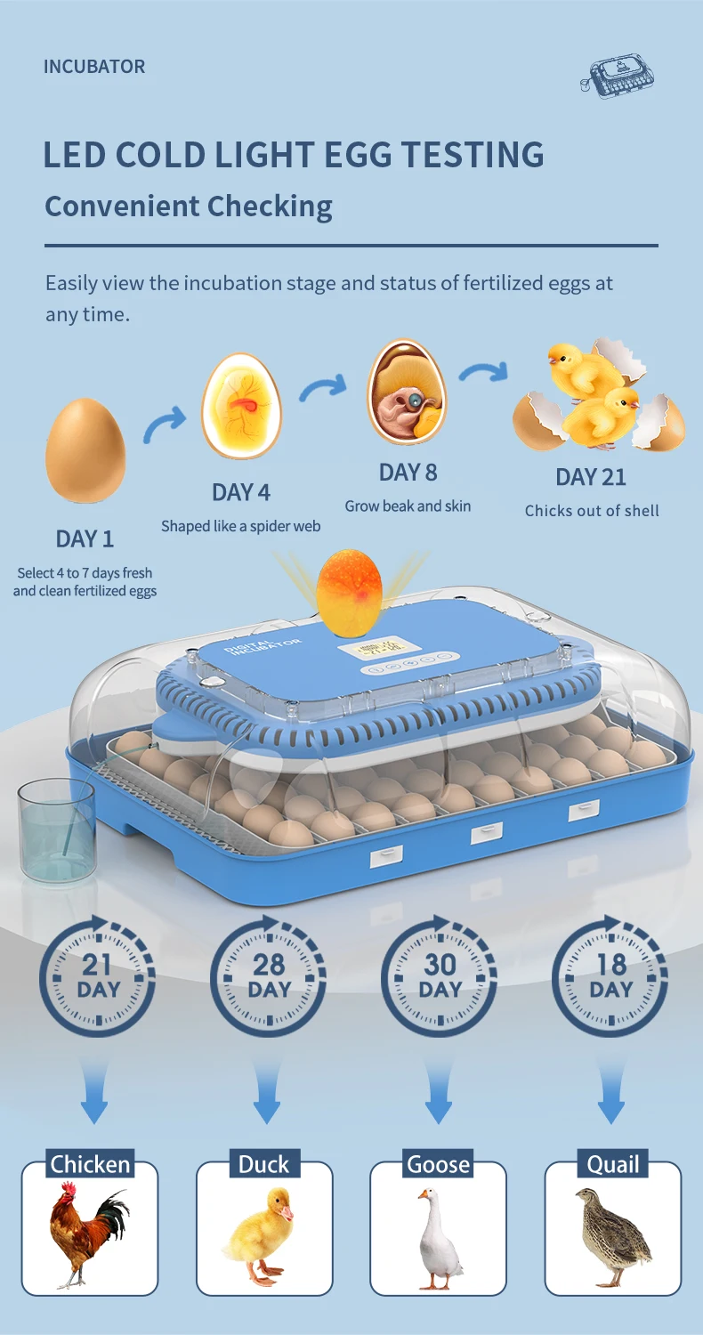 HHD 138 Rolling Best Automatic Egg Incubator Machine Solar Egg Incubator for Duck