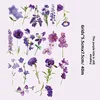 G Purple Kite Awake - Violet