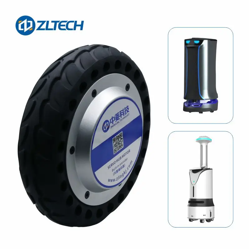 8inch ZLLG80ASM250-4096 V2.0 Servo Motor for Robot Efficiency