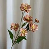 6-head pansy