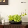 Aono