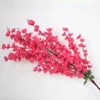 Rose Red