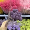 violet foncé