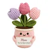 Plantas de tulipanes en maceta