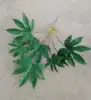 Green 9
