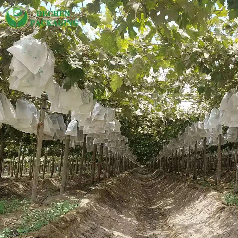 ¿¿ qué es la bolsa agrícola?