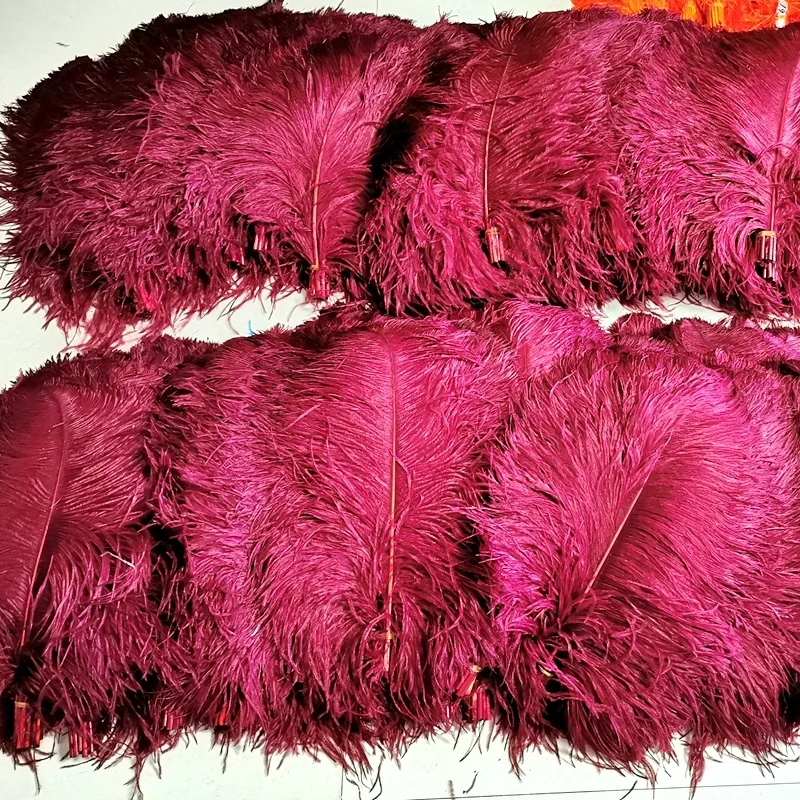 Large Ostrich Feathers - 18-24 Spads - Shocking Pink