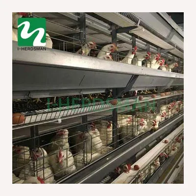 Супер Распродажа, низкая цена, Заводская поставка, аккумулятор, клетка для цыплят для пакистанской фермы, Уганды, автоматическая клетка для птицы
