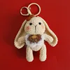 Lapin coloré à grandes oreilles debout