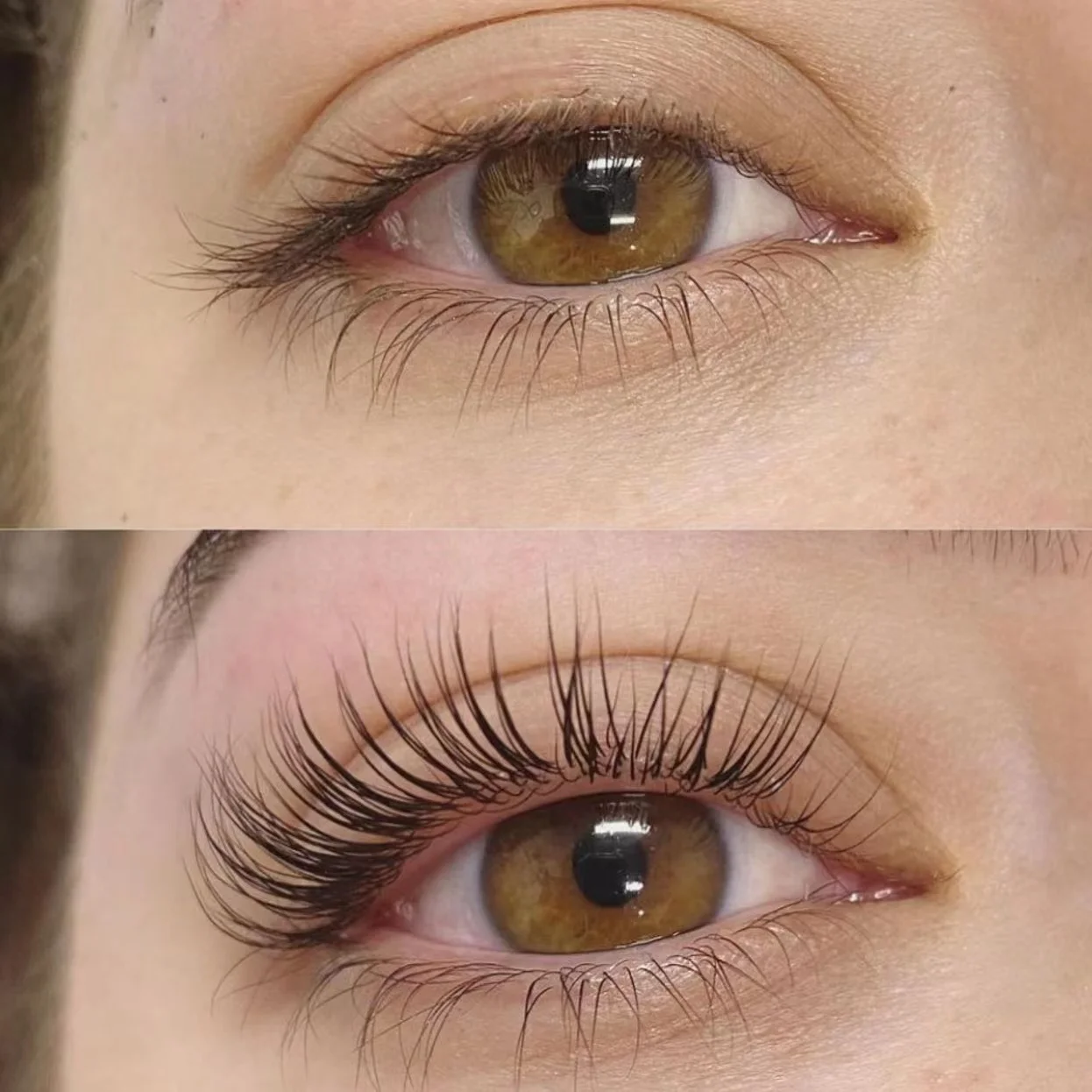 2024 New Formula Lamination Glue Balm Lash Lift Glue Balm Colorful Glue