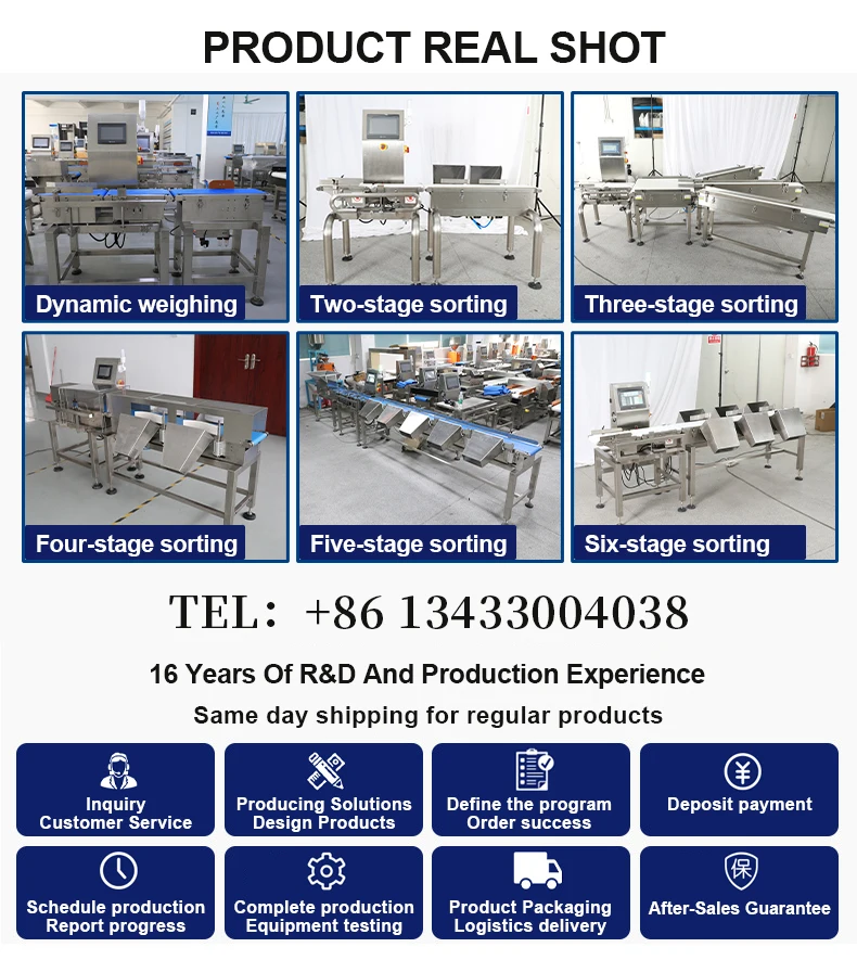 Cheap Dynamic Weighing Machine  In-line Touch Screen Conveyor Calibration Scale Weight Calibration Machine