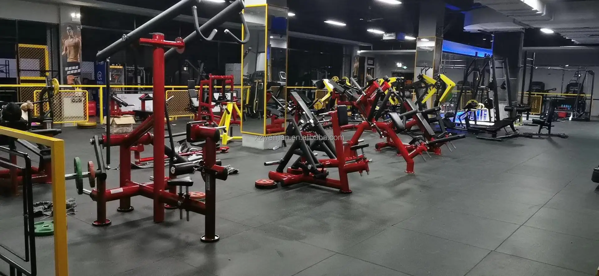 Professional Body Building Fitness Gym Equipment Plate Loaded Back