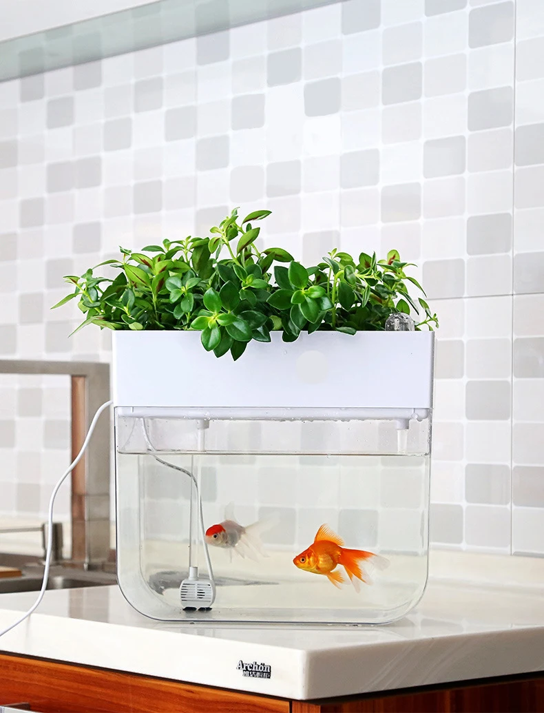 Live Plants Aquarium Coffee Table Custom Ecological Decor Goldfish
