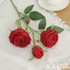 Rosa principessa rossa a tre teste
