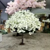 blanco 4