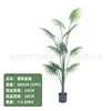 Fan palm 180CM