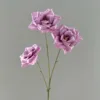 Purple Rose