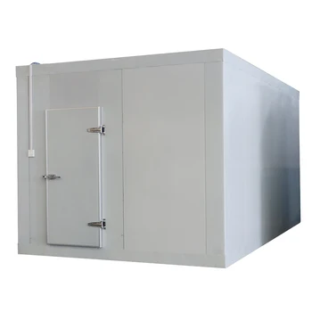 Chicken Storage Solar Cold Room Keep Fresh Small Blast Freezer Container Customize Provided Energy Saving Freezing Chamber 500