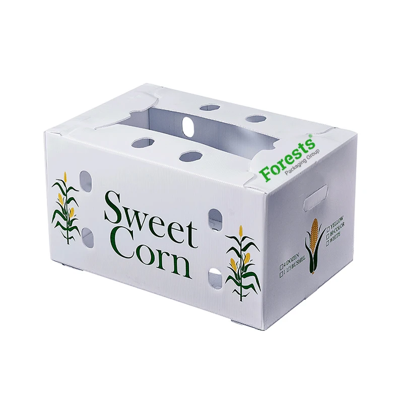 Brown Paper Vegetable Packing Box Fresh Keeping Container Corrugated Shipping Fruit Vegetable Packaging Boxes