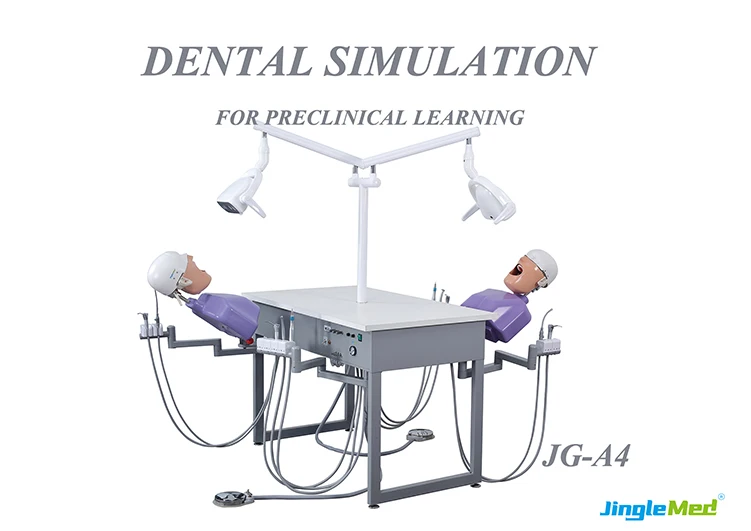 Medical Laboratory Equipment Students Dental Education Simulator For ...