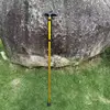 Bastones de senderismo dorados