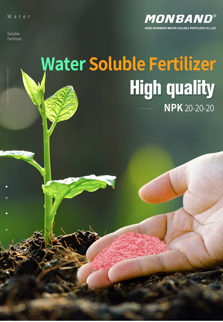 China Monband Fertilizer Npk 20 20 20 Water Soluble Fertilizer Manufacturer Wholesale For Agriculture Crops Buy Npk 20 20 20 Fertilizer Npk Fertilizer Price Npk Wholesale Product On Alibaba Com