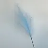 Blu-chiaro