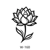 W-160-60x80mm
