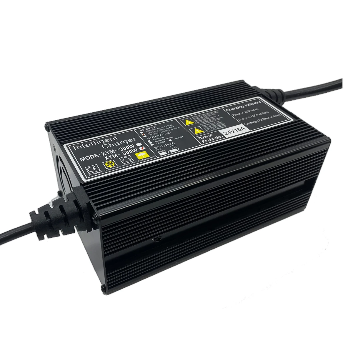 Customized High Power Fast Charging 13S 54.6V Lithium Ion Battery Chargers 48v 6A Lifepo4 Charger