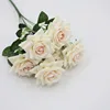 Champagne Rose 7 Têtes