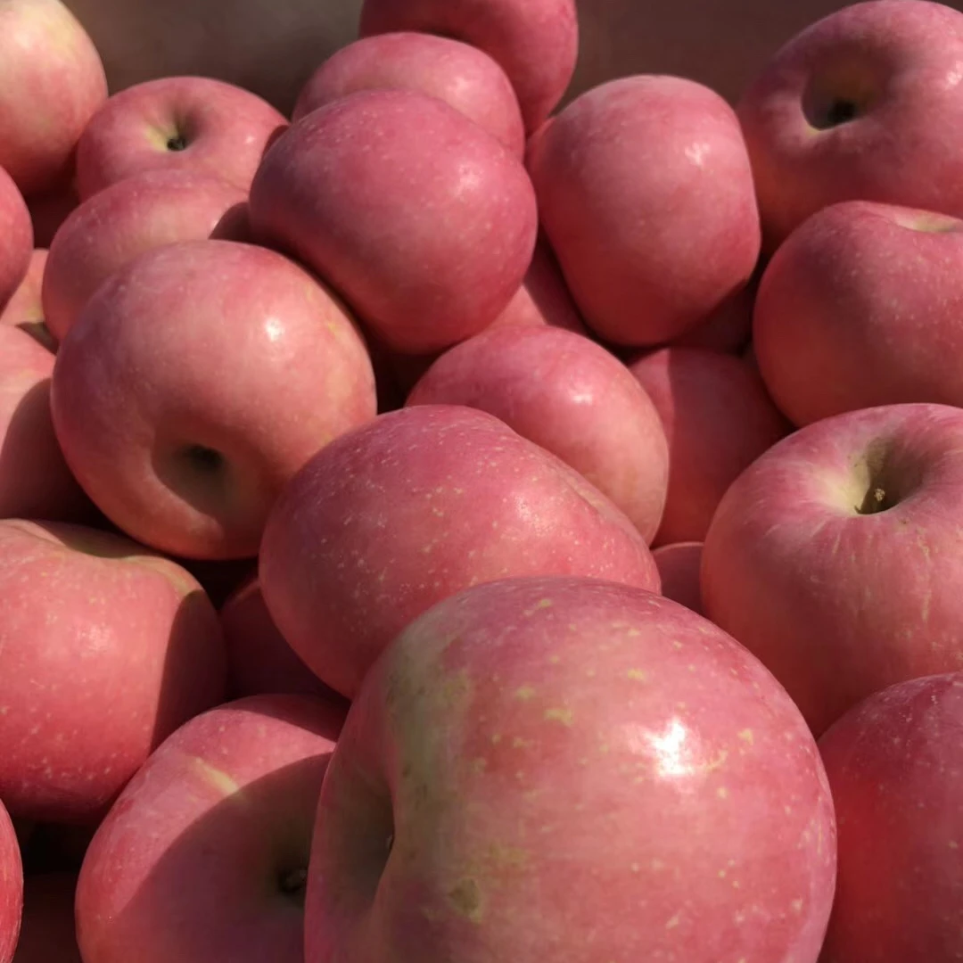 High Level Fruits Fresh Fuji Apples China Manufacturer
