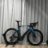Camaleonte blu + 100 USD