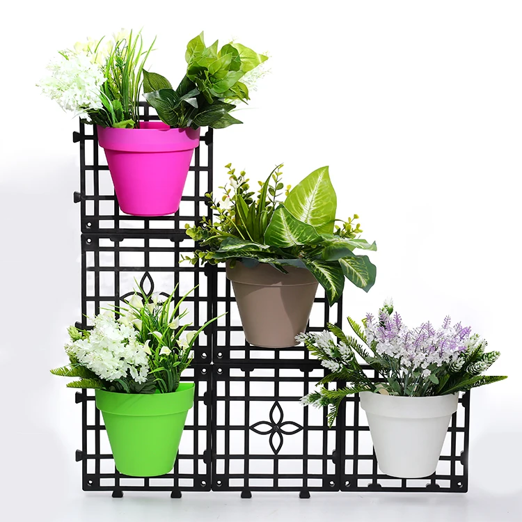 hanging basket plants for hummingbirds Salvia BODACIOUS® Hummingbird Falls 'Purple' plants main image 0